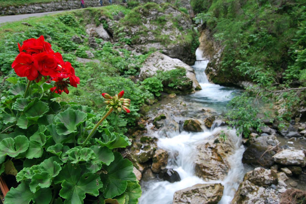 Appartamento San Marco Caprile  Dış mekan fotoğraf